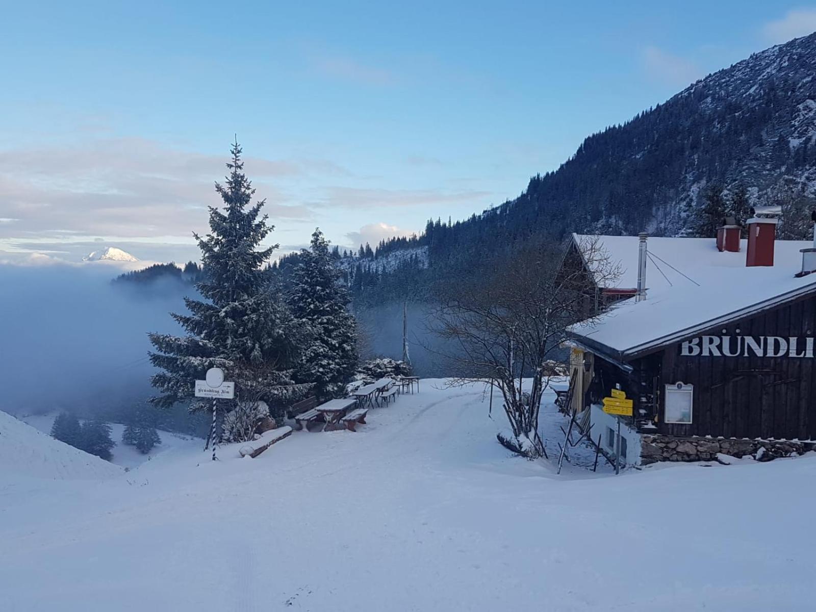 ホテル Bruendling-Alm Berggasthof Auf 1167M Auf Dem Hochfelln ベルゲン エクステリア 写真