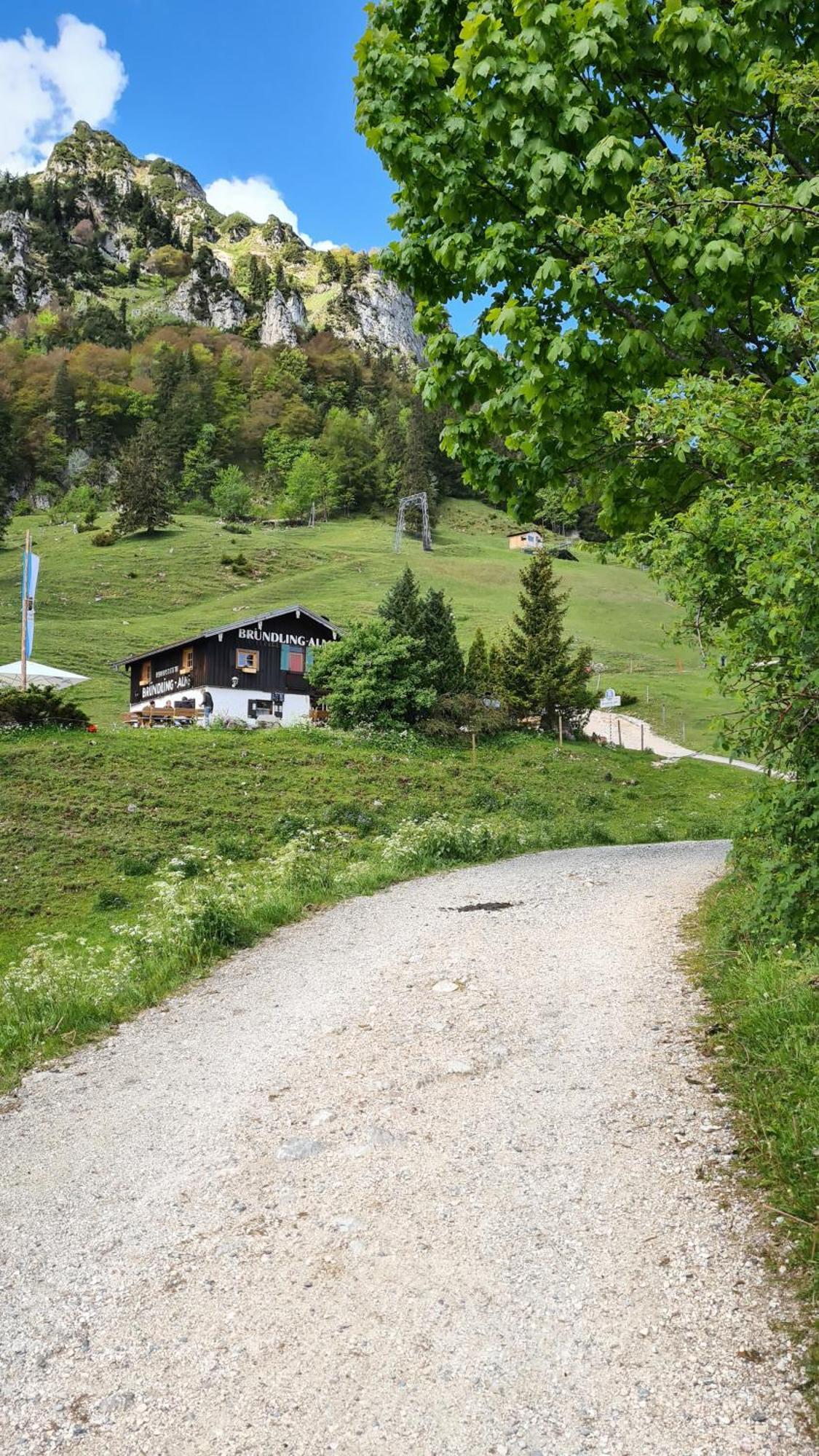 ホテル Bruendling-Alm Berggasthof Auf 1167M Auf Dem Hochfelln ベルゲン エクステリア 写真